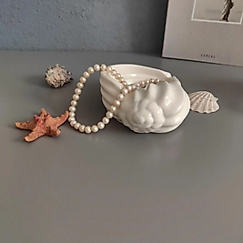 Deniz kabuğu organizer&kültablasi