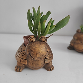 Minimal Altın Eskitme Kaplumbağa Saksı &Mumluk