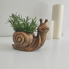 Salyangoz Figürlü Dekoratif Saksı & 12 cm