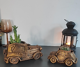 Altın Eskitme Retro Klasik ve Vosvos Araba Saksı &Biblo